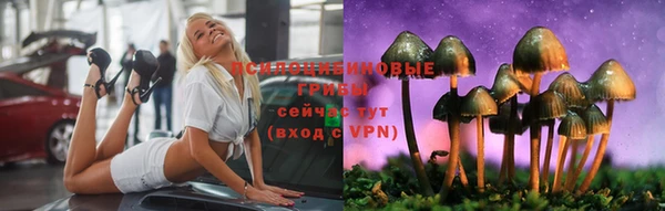 Альфа ПВП Армянск