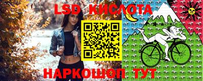 МДПВ Краснознаменск
