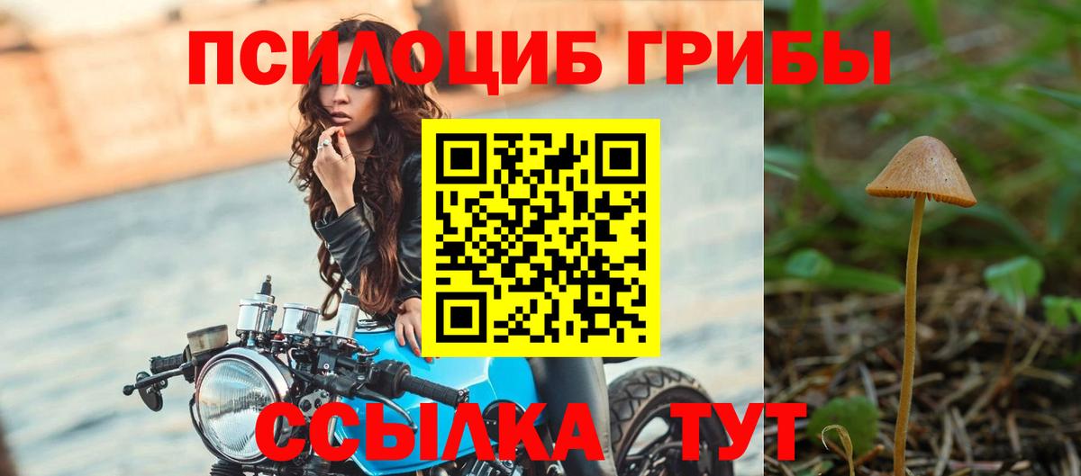 Галлюциногенные грибы ЛСД  Галлюциногенные грибы мицелий  Вход с VPN  Майкоп 